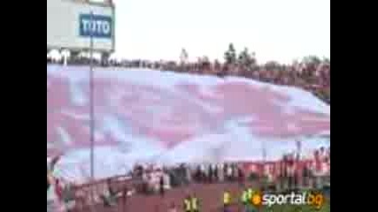 публика на cska