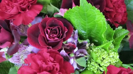 Story Of A True Love - Ernesto cortazar Hd
