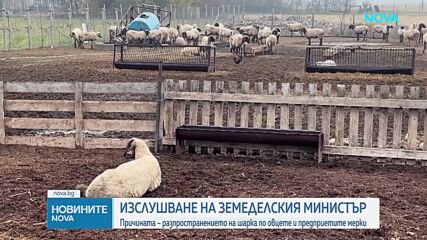 Новините на NOVA (24.09.2026 - 8.00)