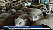 Нови правила за месото в хранителните магазини