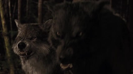 The Twilight Saga Breaking Dawn Part 1 - Jacob