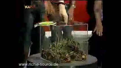 Us5 - Kika live. Part 1 