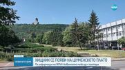 Затвориха парк в Шумен заради рядък хищник