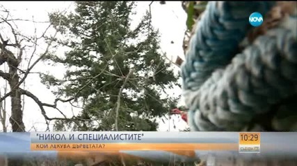 "Никол и специалистите": Що е то професия арборист?