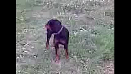 Rita 12.07.2009