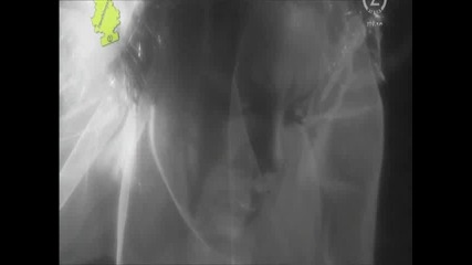 Pink - I Dont Believe You (new 2009)