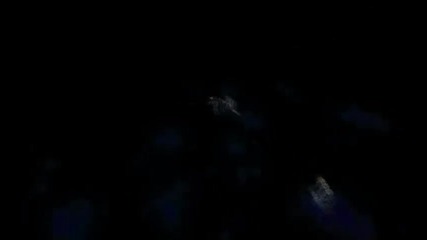 bujutzu sick shot