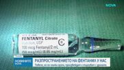 Разпространението на фентанил у нас - повече, но по-малки групи произвеждат и търгуват с дрогата