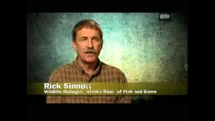 Weird True & Freaky - Wtf - Grizzly Bear Attacks