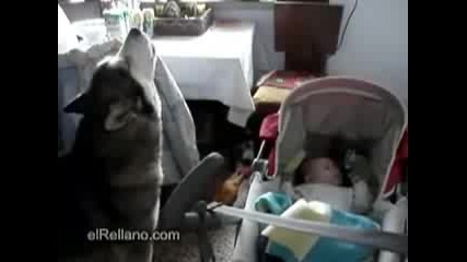 Хъски пее приспивателна