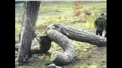 Snimano v tochniq moment