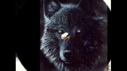 Wolfs [high quality and size].flv