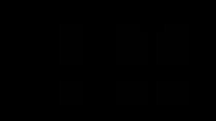 Harry Potter 2 (bg Audio)