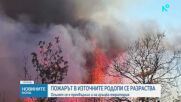Безсънна нощ за пожарникарите в Хасковско