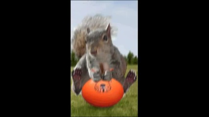 Jump that rock 