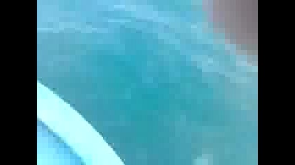 Видео002.3gp