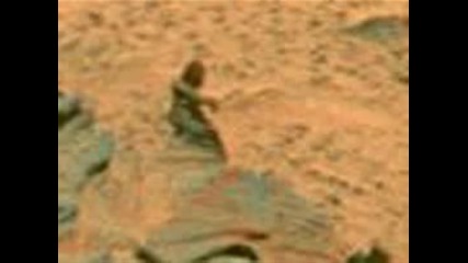 photo proves life on Mars