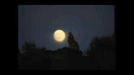 Любэ - Луна