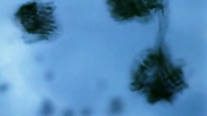 Storm