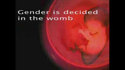 A Pregnant Man On Oprah