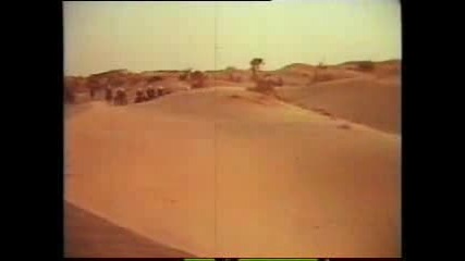 Ахалтекински Коне прекосяване  на  пустинята Каракум