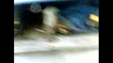 Bass