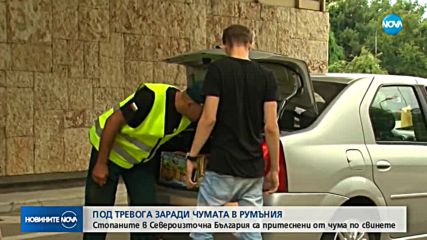 ЗАРАДИ ЧУМАТА ПО СВИНЕТЕ: Засилени мерки на границата ни с Румъния