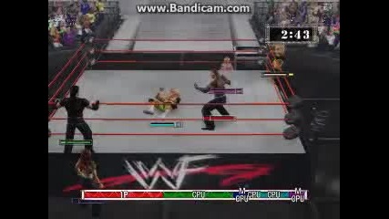 The Hardy Boyz (with Lita) vs The Holly Cousins (with Molly Holly)