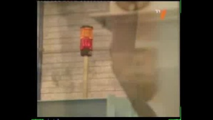 Домино Дей 2008 Интервю