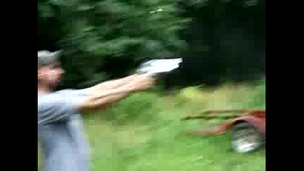 Desert Eagle