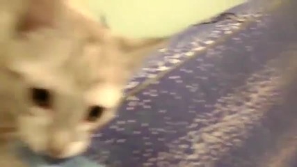 Пари не се дават лесно:)