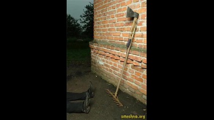 50 - смешни снимки 