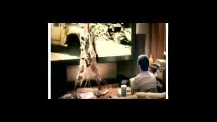 justin bieber funny moments