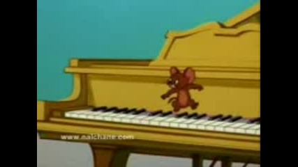 Tom And Jerry