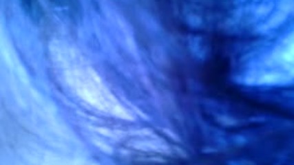 Vid_20170708_1238481