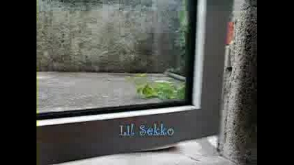 Малък Sekko
