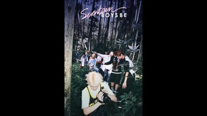 Seventeen - When I Grow Up