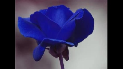 Gigi Dalessio - Super Amore