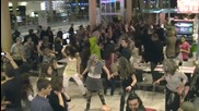 100 Зомбита танцуват в Софийски мол - флашмоб за Хелоуин