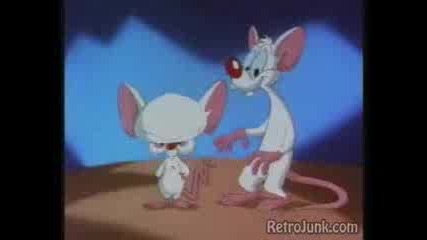Pinky And The Brain - Intro (i Larry)