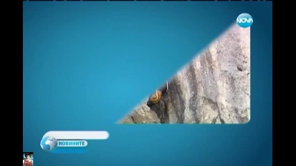 Героите, спасили село с риск на живота си