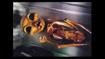 Alien Photo Shoot Proof Of U.s. Government Coverup