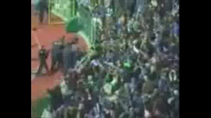 Levski - Werder