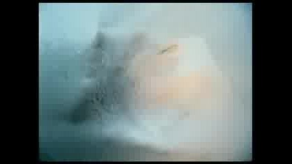 Whigfield - No Tears to Cry 