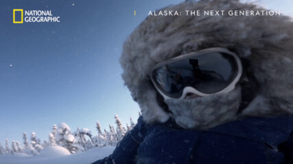 На път за провизии | Зимно изпитание | Аляска: Следващото поколение | National Geographic Bulgaria