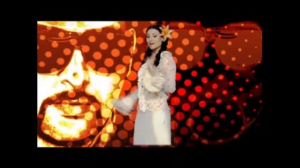 Софи Маринова и Устата - Бате шефе (dvd rip) 