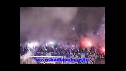 Ultras Dynamo Zagreb Bbb