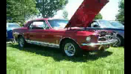 Mustang Shelby Gt500