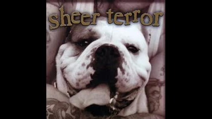 Sheer Terror - Just cant Hate Enough 