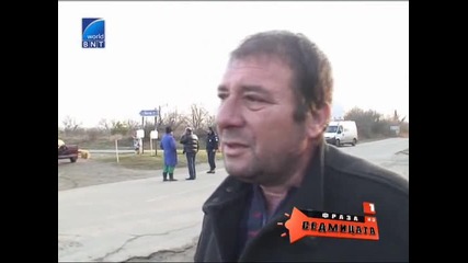 Хората тъгуват за животните си 